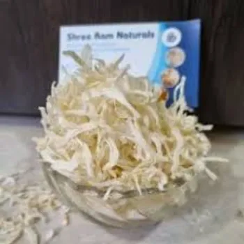 Frozen Onion (38)-5603689-14794.webp